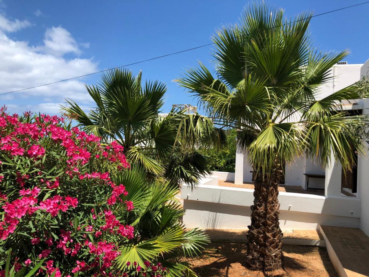 Casa En Ibiza Con Vistas Increibles En Ferienhaus Playa Des Figueral