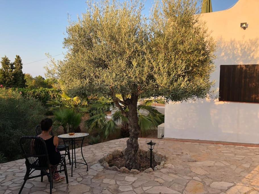 Casa En Ibiza Con Vistas Increibles En Ferienhaus Playa Des Figueral